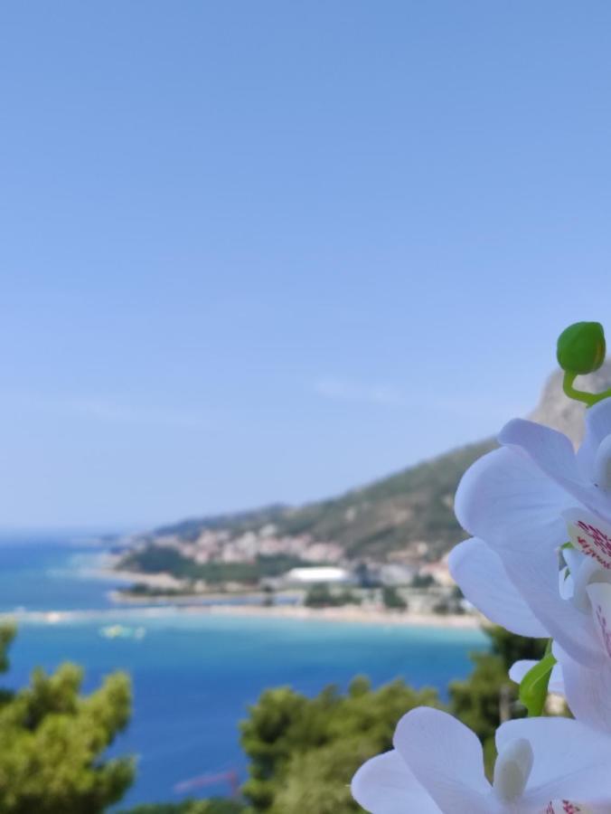 Apartamento Rake Omiš Exterior foto